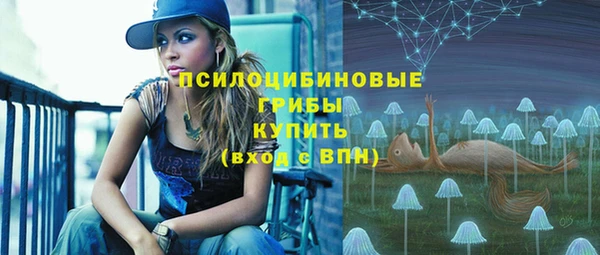 кристаллы Краснослободск