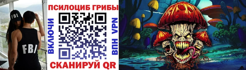 закладка  Чулым  KRAKEN сайт  Галлюциногенные грибы мицелий 